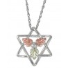 Black Hills Gold Sterling Silver Star Of David Pendant w Necklace