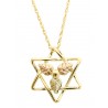 10K Black Hills Gold Star of David Pendant