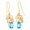 Landstrom's® 10K Black Hills Gold Earrings with Blue Topaz