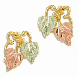 Landstrom's® 10K Black Hills Gold Leaves Post Earrings