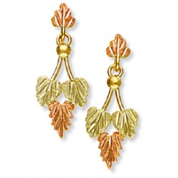 Landstrom's® 10K Black Hills Gold Traditional Leaves Earrings