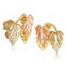 Landstrom's® Small Black Hills Gold 10K Post Earrings