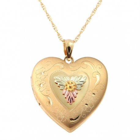 Mt. Rushmore Gold-Filled Heart Locket with Chain