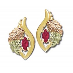 Landstrom's® Small 10K Gold Earrings with Ruby