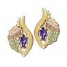 Landstrom's® Small 10K Gold Earrings with Amethyst