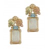 Landstrom's® Small 10K Gold Earrings with Opal & Topaz