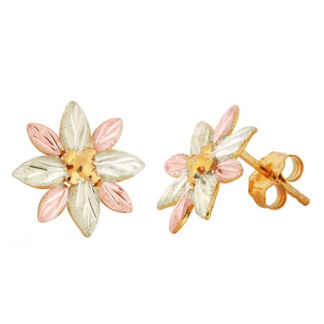 Landstrom's® Small 10K Black Hills Gold Flower Post Earrings