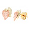 Landstrom's 10K Black Hills Gold Double Leaf Earrings Mini
