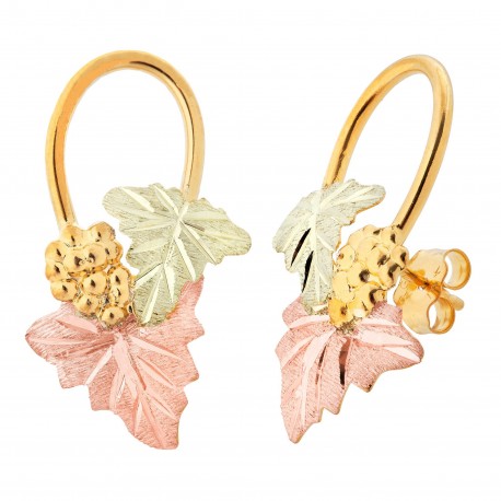 Landstrom’s 10K Yellow Gold Circle and Grape Earrings